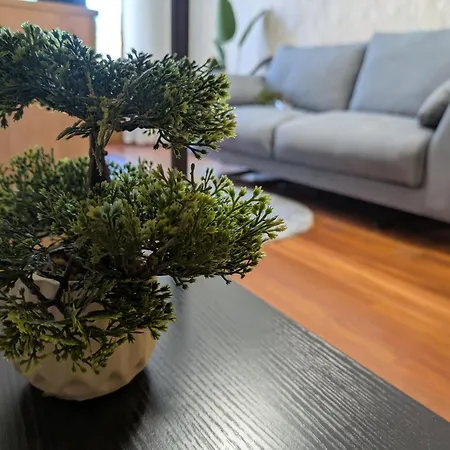 Apartment O Pisino De Andres
