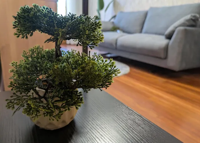 Appartement O Pisino De Andres